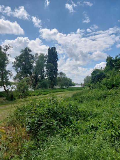 Le sentier qui longe le fleuve Loire,  paysage très  vert et arboré, ciel tourmenté