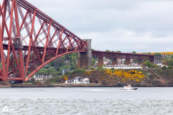 A photograph of the end of the Forth Bridge in North Queensferry with a boat sailing past, some buildings in North Queensferry and yellow gorse on rocks.