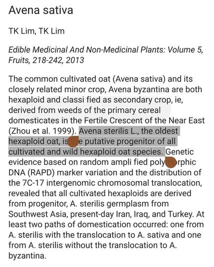 Text sobre Avena spp