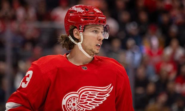 Moritz Seider, red wings