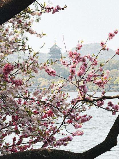 Spring showed up in full colour and framed the view just right.
West Lake in Hangzhou China.