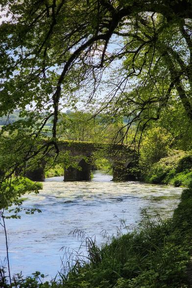 A slightly low-angle shot shows a historic stone bridge with multiple arches spanning a flowing river. The riverbanks are covered in dense green foliage and trees, which also frame the top of the image, creating a natural border. The water is a light blue with some areas of white water-crowfoot flowers visible on the surface. The sky can be seen in patches through the leaves, suggesting a bright day.