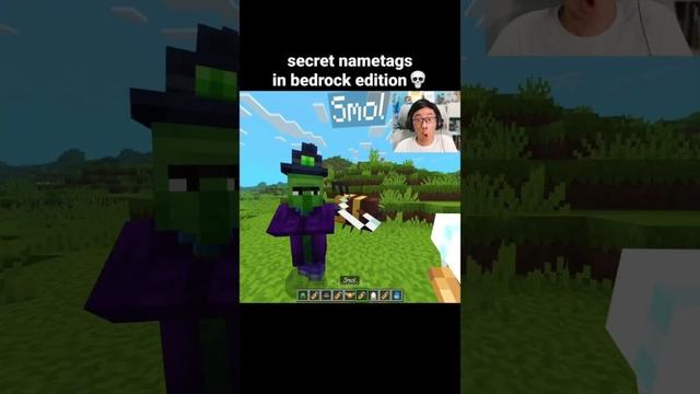 Minecraft Secret Nametags Moment