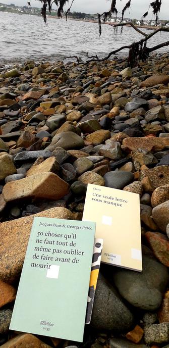 Couvertures de deux livres :
""Une seule lettre vous manque" par Claro .
"50 choses qu'il ne faut tout de même pas oublier de faire avant de mourir" par Jacques Bens & Georges Perec. 
Éditions L'Oeil ébloui. 
Photo prise sur une grève au bord de la mer en Bretagne Nord.