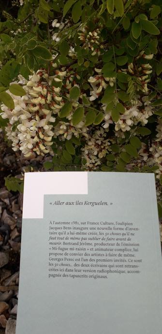 4ème de couverture du livre de Jacques Bens & Georges Perec, "50 choses qu'il ne faut tout de même pas oublier de faire avant de mourir".
Éditions L'Oeil ébloui. 
Photo prise sur une grève au bord de la mer en Bretagne Nord avec des fleurs de Robinier.