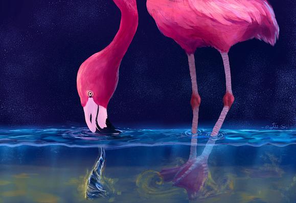 painting of a flamingo bird feeding in shallow water