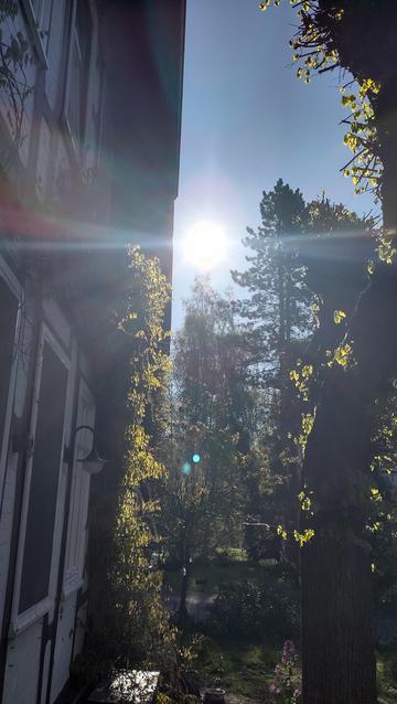 The beautiful venue of the Northern Nyckelharpa weekend, an old water mill in the middle of the forest, between Hamburg and Hanover. The sun in shining and its rays are filtered through fresh green leaves of trees and a wisteria growing on the wall of the house.