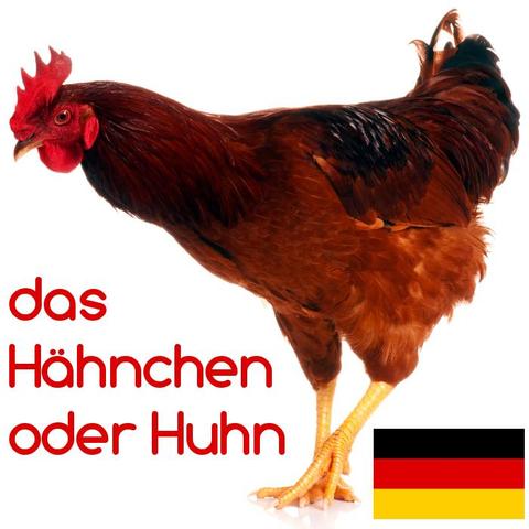 hähnchen