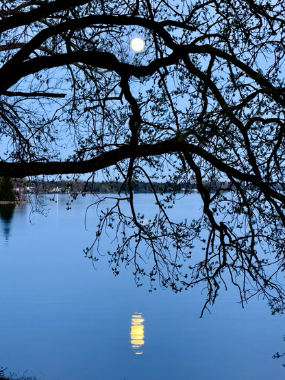 Flower moon over the Ottawa River by Pat Murphy