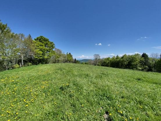 Aussicht von einem Jurahügel.