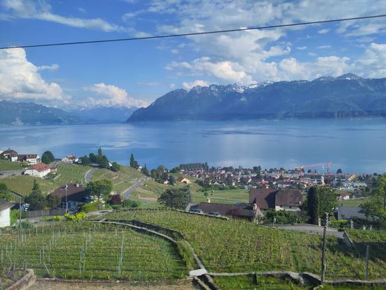 View of Lavaux from a train