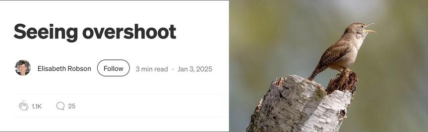 Heading of essay by Elisabeth Robson, titled "Seeing Overshoot." Also shown is a photo of a single songbird perched at the end of a bare branch.