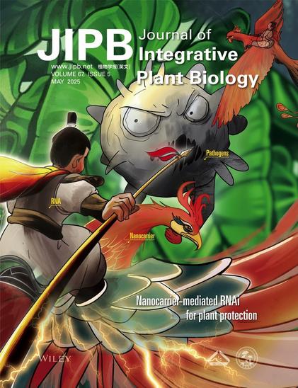 The cover of the May issue of the Journal of Integrative Plant Biology, featuring a phoenix, representing a “nanocarrier,” transporting RNAi "soldiers" who use their sharp spears to target and control plant pathogens, represented by a gray sphere with sharp spikes and a menacing face.