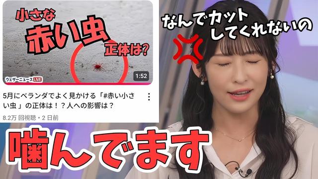 【山岸愛梨】毎年高再生数のタカラダニ動画！噛んだ部分をカットされなく愚痴るあいりん【ウェザーニュース切り抜き】