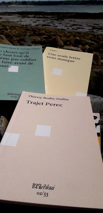 Trois couvertures de livres :
"50 choses qu'il ne faut tout de même pas oublier de faire avant de mourir" par Jacques Bens & Georges Perec. 
"Une seule lettre vous manque" par Claro.
"Trajet Perec" par Thierry Bodin-Hullin. 
Éditions L'Oeil ébloui. 
Photo prise sur une grève au bord de la mer en Bretagne Nord.