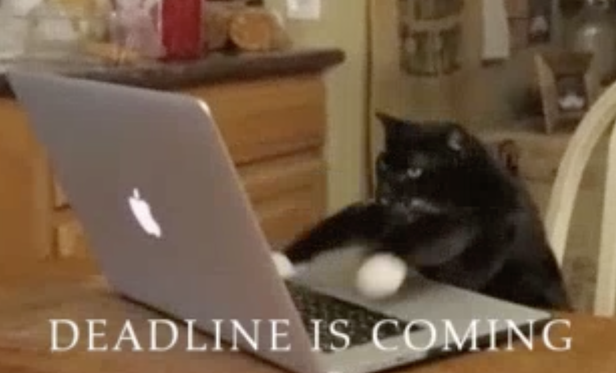 a black cat is using an apple laptop with the words deadline is coming written below it