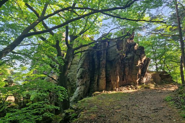 Die Fahnenwand - eine Felsformation in der Wachau