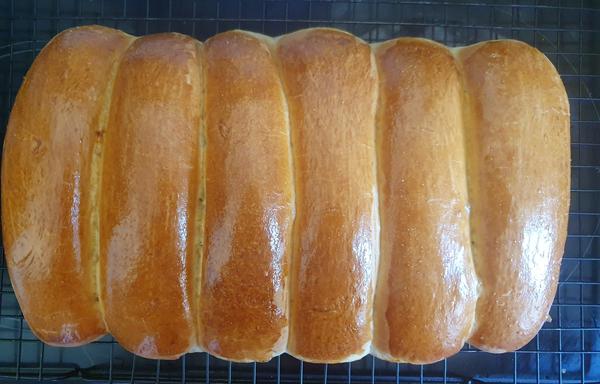 Top down look at hot dog buns out of the oven. There are 6, they are golden and shiny from the egg wash.