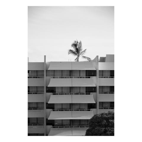 concrete facade of all balconies with a single palm tree rising above the roof