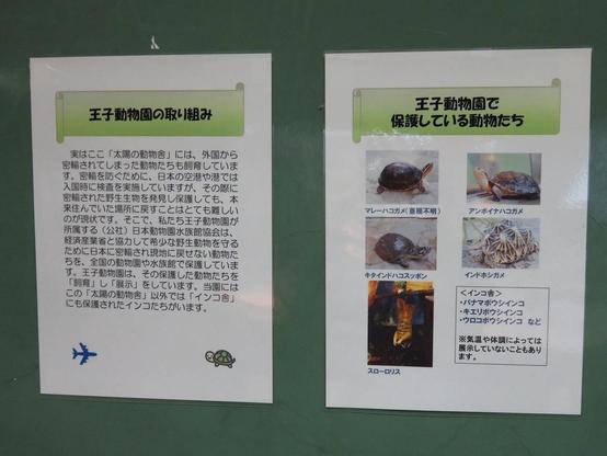 Photo of the poster in the zoo, which explains why the institute protects the illegally imported reptiles.