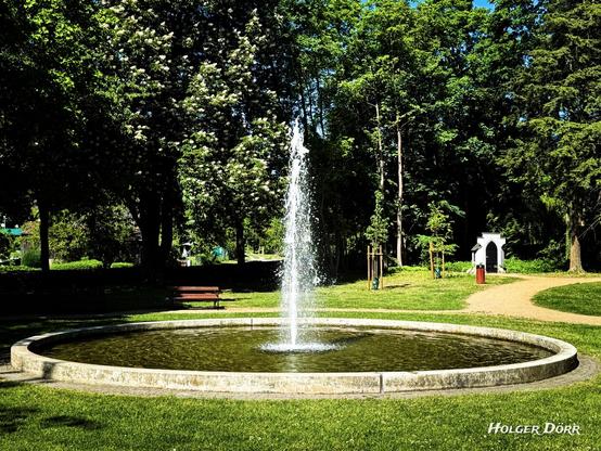 Ein Springbrunnen im Schlosspark, dessen Wasser in die Höhe schießt, umgeben von blühenden Kastanienbäumen, Bänken und einem kleinen Pavillon – ein belebter Mittelpunkt im Grünen.