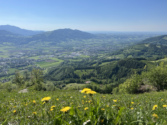 Bergpanorama mit Blick ins grüne kremstal, blauem Himmel und Berge ganz hinten