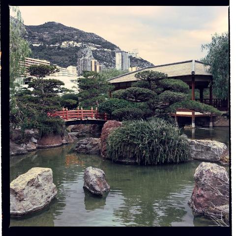 This photo captures a tranquil moment in a Japanese garden, featuring a pond, wooden bridge, pavilion, rocks, and greenery.