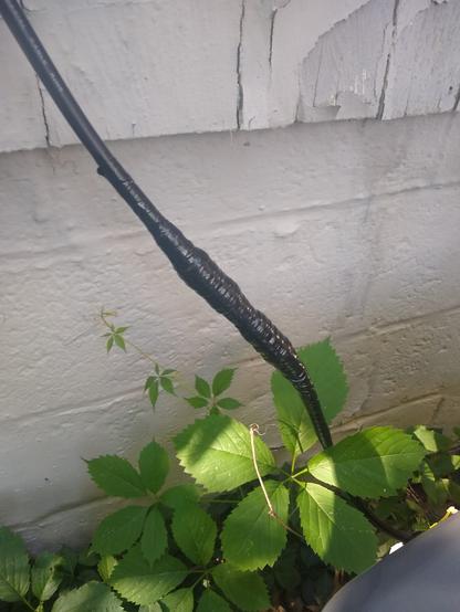 The cable and connectors have now been wrapped in electrical tape.