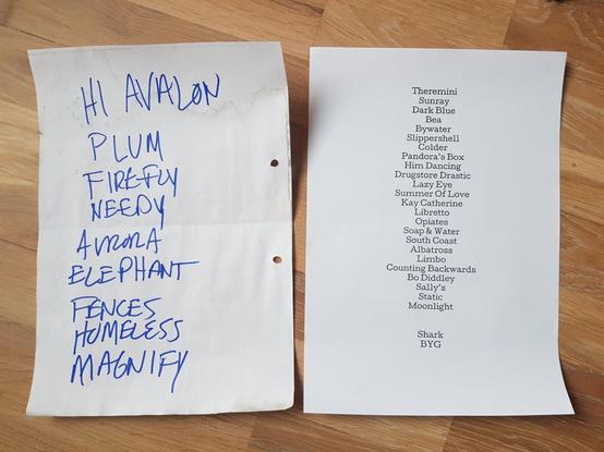 Photograph of two set lists lying on a floor - my floor! Real photographer: me.