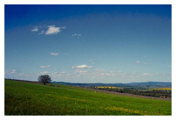 Color photograph of a Hungarian landscape. The deep blue sky extends over two-thirds of the picture, becoming somewhat lighter towards the bottom, almost turning white. Nevertheless, the scattered clouds are clearly recognizable. In the foreground, a single tree can be seen on the left, standing on a green slope above vines. Yellow rapeseed fields can be seen in the valley below. On the horizon, a small range of hills with the typical volcanoes of the region.

Translated with DeepL.com (free version)