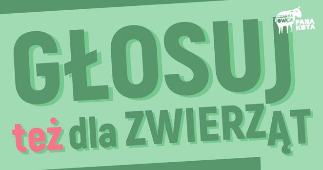 Zielone tło i napis na nim Głosuj też dla zwierząt
Logo Fundacji Czarna Owca Pana Kota