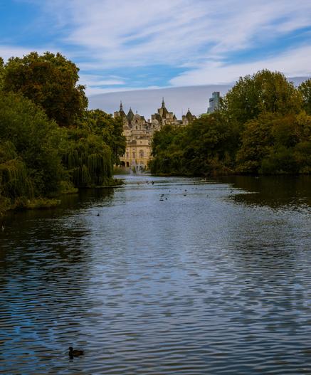 Buildings on Whitehall visible through the trees across the pond viewed from the Blue Bridge, St James's Park, London
Captured by Komeil Karimi