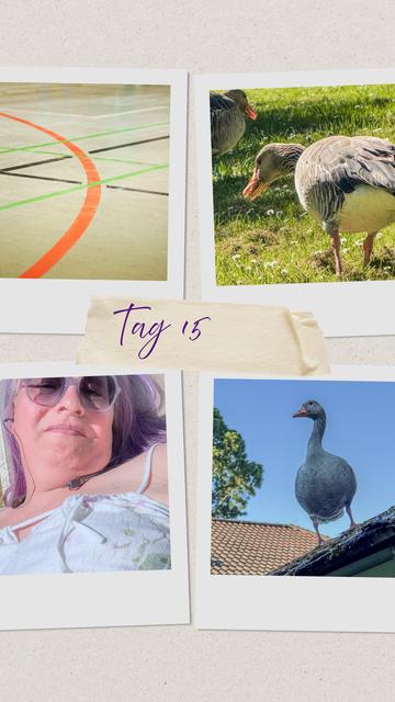 Vier Polaroid-Bilder, die den Tag 15 dokumentieren: Oben links ein Ausschnitt eines Hallenbodens mit bunten Linien, der Stress symbolisiert. Oben rechts zwei friedlich grasende Gänse auf einer sonnigen Wiese. Unten links ein Selfie von mir, entspannt im Sonnenbad, mit Sonnenbrille und Kopfhörern. Unten rechts eine Gans, die stolz auf einem Hausdach steht, vor blauem Himmel. Der Kontrast zwischen Anspannung und wohltuender Entspannung ist deutlich spürbar.