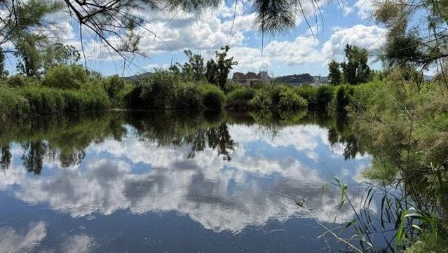 A l'aiguamoll de Can Cabanyes s'hi fa un segon procés de depuració natural de l'aigua que prové de la depuradora (3Cat/Rubén Cabús)