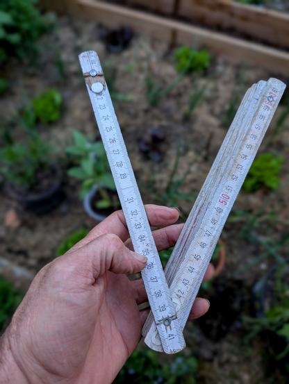 Ein zusammengeklappter, deutlich beschädigter Zollstock wird im Garten gehalten. Die Skala ist abgebrochen – der sichtbare Teil beginnt bei 22 cm, der Rest fehlt. Foto by Johann Seidl, Gartenpoet.