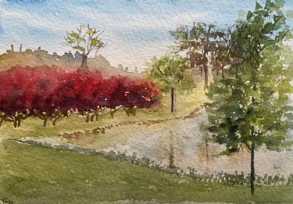 A narrow retention pond sits in a gently sloping landscape, with a dense row of rounded shrubs on one side and scattered trees casting soft reflections on the water.