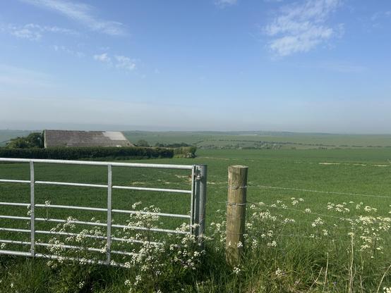 A vast open field with a shed and rolling hills in the distance. A farm gate is in the foreground with flowers near the gate and fence. The sky is a light blue with few clouds.