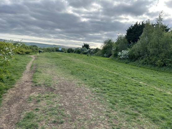 A green open space with tracks worn down by walking and running. The sky is overcast with clouds. In the distance amongst trees a white old finished windmill is seen.