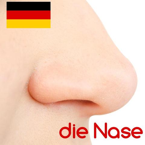 nase