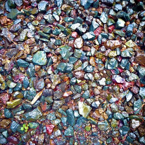 Many small, jagged, colorful rocks lie wet on the ground together after a light rain.