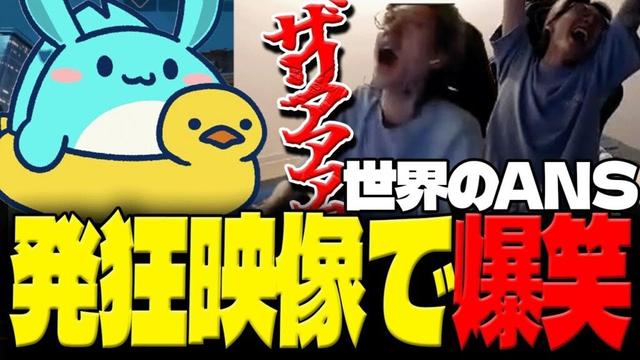 えなこカップでANSコーチの発狂クリップをみて爆笑するすもも【オーバーウォッチ2】