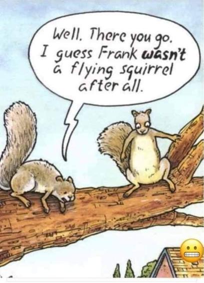 Comix with two squirrels on a tree branch, both are looking down. One says, "Well. There you go. I guess Frank wasn't a flying squirrel after all."