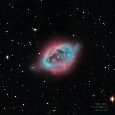 A dark starfield highlights a blue and pink nebula in its center. Some dark lanes of dust are seen inside nebula's center.