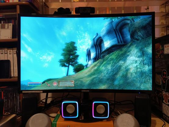 A photo of a computer monitor showing a screen from The Elder Scrolls IV: Oblivion