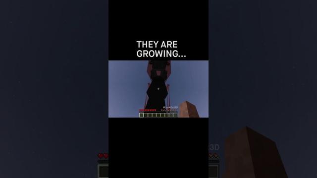 Minecraft Meme