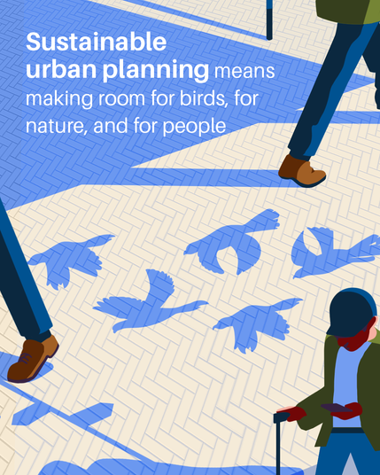 Image of birds on a sidewalk with text "sustainable urban planning means making room for birds, for nature, and for people."