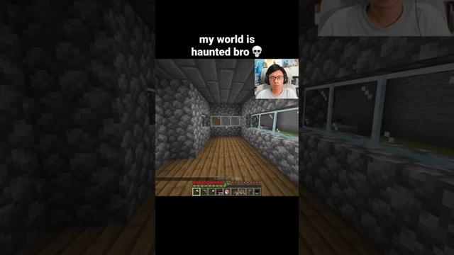 Minecraft Sleep Moment