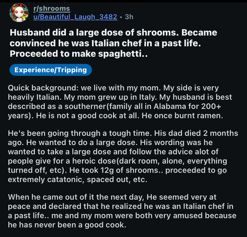 Post on r/shrooms

Husband did a large dose of shrooms. Became convinced he was Italian chef in a past life. Proceeded to make spaghetti..

---

Quick background: we live with my mom. My side is very heavily Italian. My mom grew up in Italy. My husband is best described as a southerner(family all in Alabama for 200+ years). He is not a good cook at all. He once burnt ramen.

He's been going through a tough time. His dad died 2 months ago. He wanted to do a large dose. His wording was he wanted to take a large dose and follow the advice a lot of people give for a heroic dose (dark room, alone, everything turned off, etc). He took 12g of shrooms.. proceeded to go extremely catatonic, spaced out, etc.

When he came out of it the next day, He seemed very at peace and declared that he realized he was an Italian chef in a past life.. me and my mom were both very amused because he has never been a good cook.