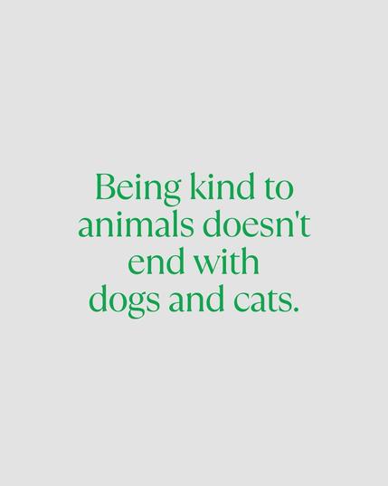 Being kind to animals doesn't end with dogs and cats.🖖