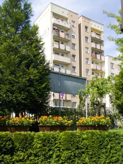 8-piętrowy blok mieszkalny z balkonami za żywopłotem i sosną